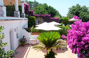 Garden in Anacapri Italy